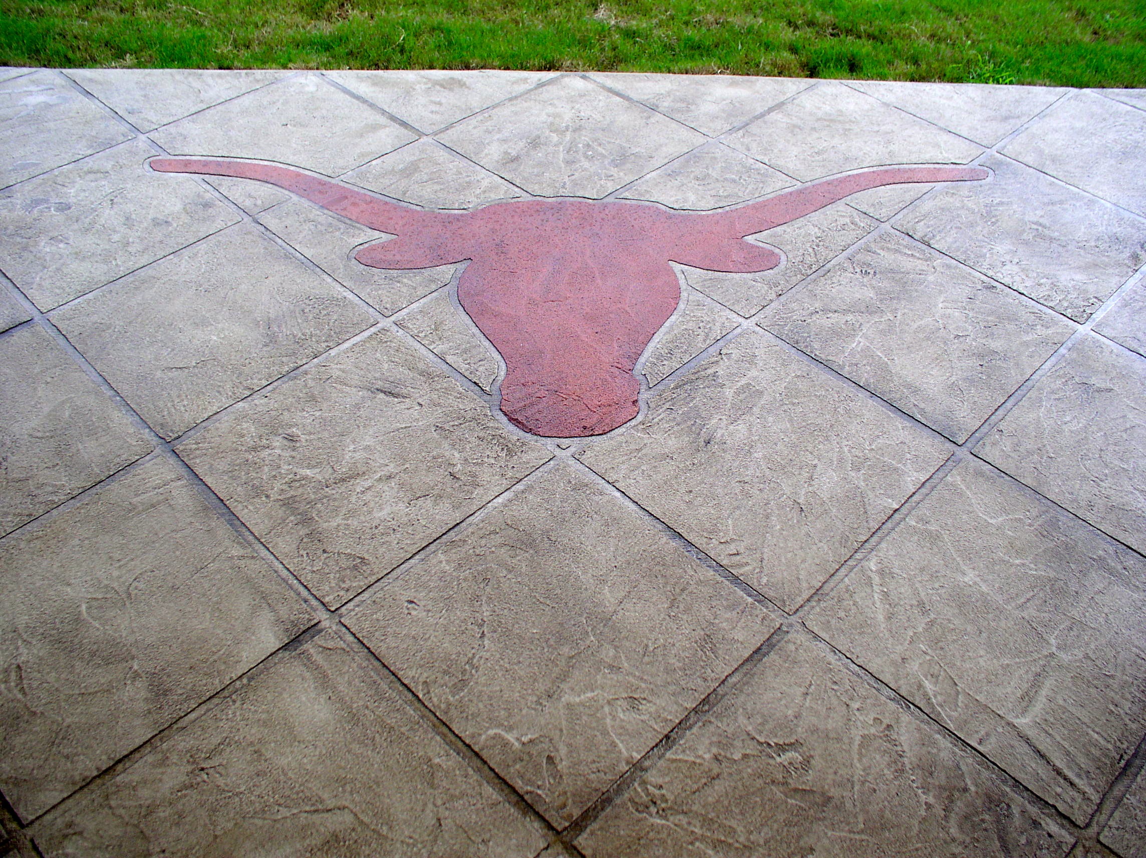 Decorative concrete with a Longhorn design